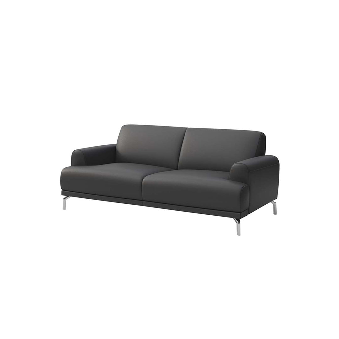 Puzo 2 seater Sofa - Leather